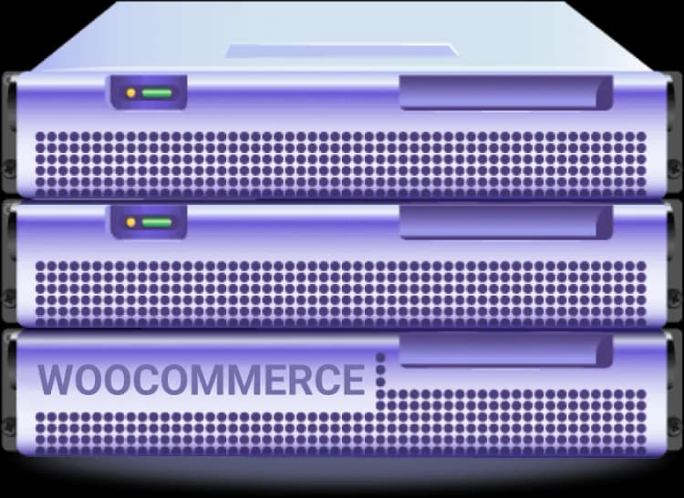 هاست ووکامرس چیست؟