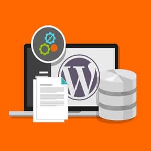 نحوه رفع خطای 429 یا ارور Too Many Requests در وردپرس